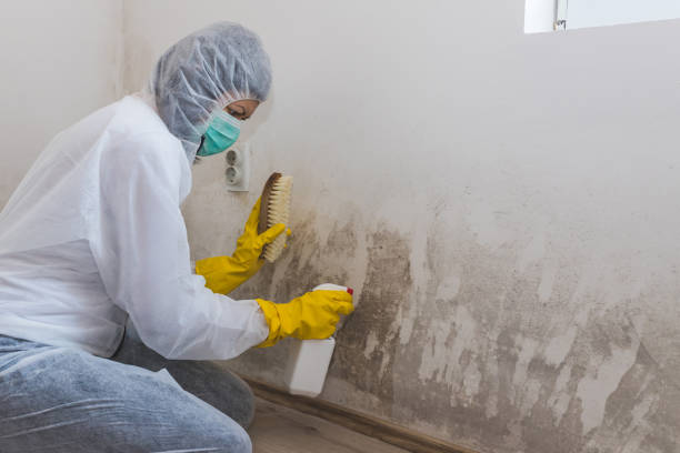 Best Mold Documentation for Insurance Claims  in Fairmead, CA