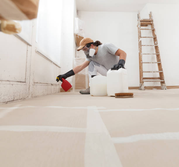 Best Dehumidification Services  in Fairmead, CA