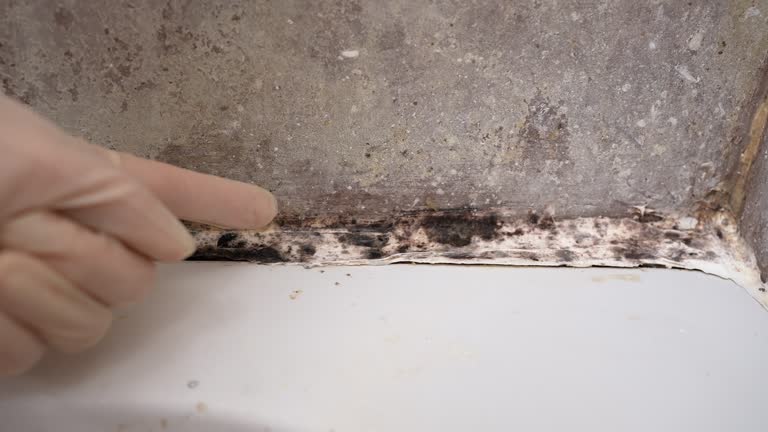Best Industrial Mold Remediation  in Fairmead, CA